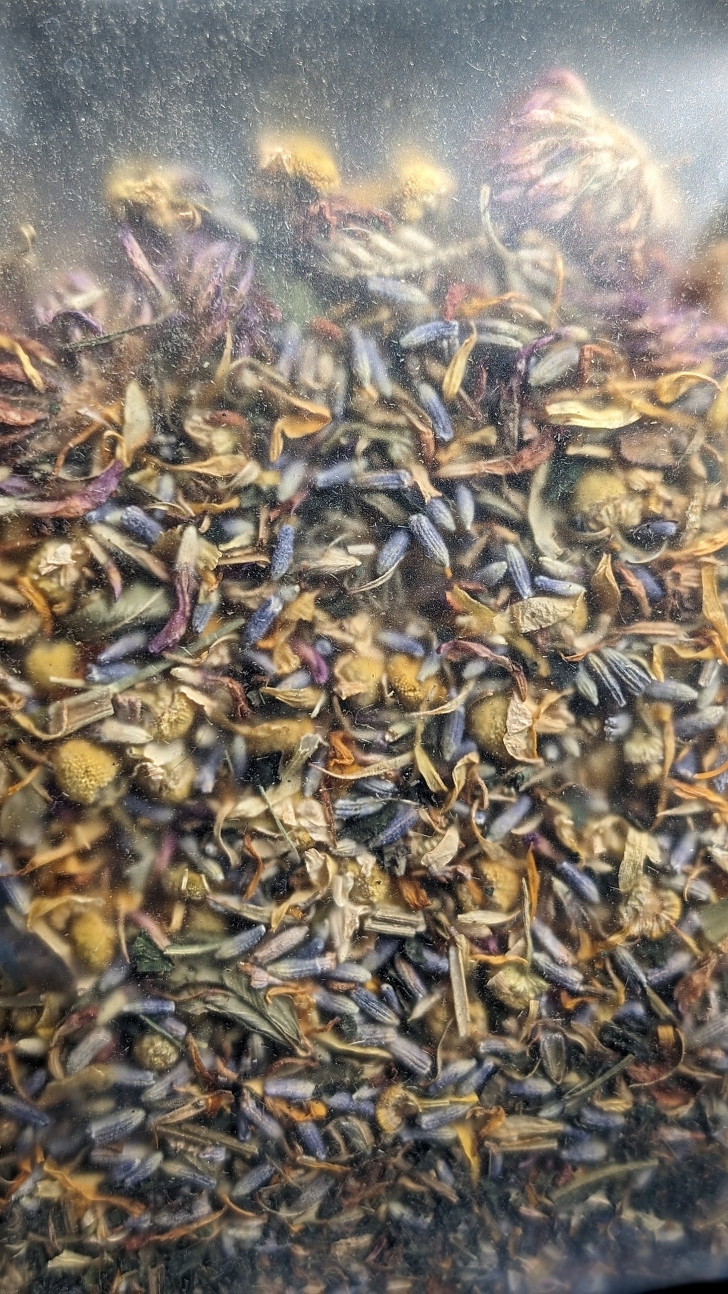 Loose Leaf Organic Tea Blend