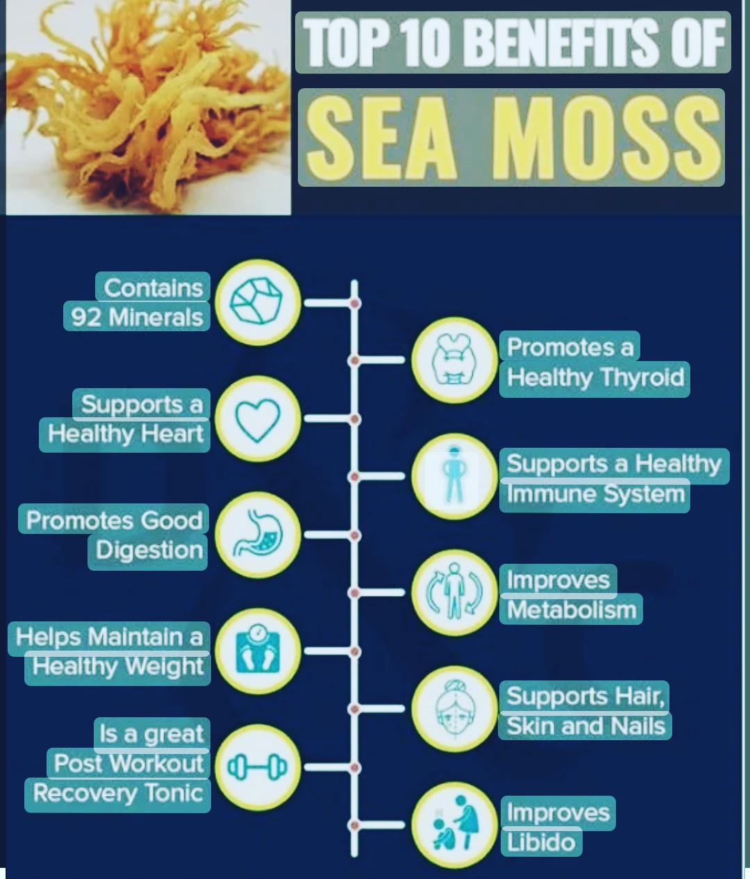 Organic Sea Moss Gel